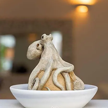 Hotel Rhenia Mykonos & 4*