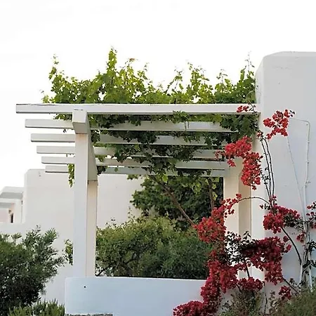 Hotel Rhenia Mykonos & 4*